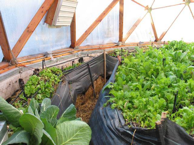 Geodesic Domes for Permaculture | Solar Domes, Greenhouses