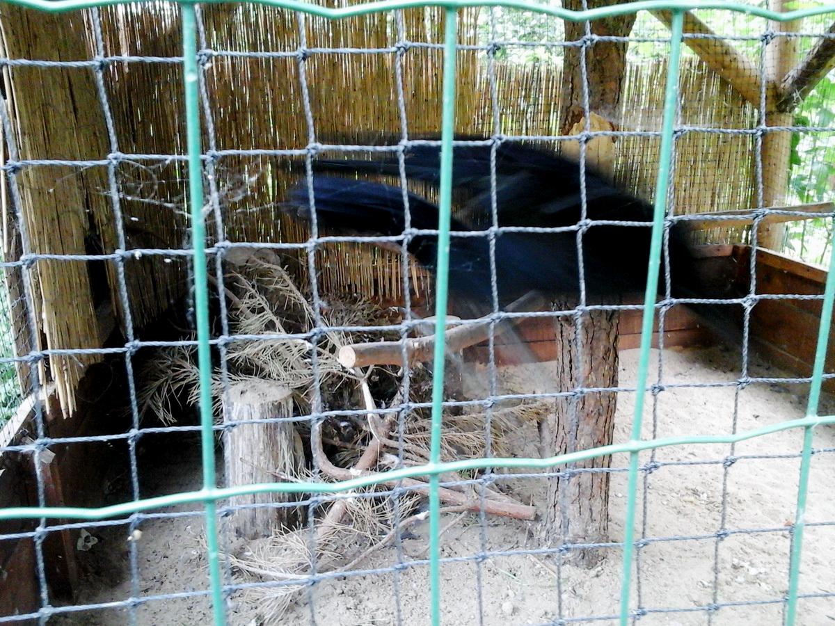Ø6-Ø7-Ø30m Kopuły Wolierowe | Ośrodek Rehabilitacji Ptaków Dzikich w Bukwałdzie